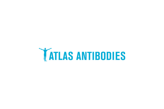 Atlas Antibodies