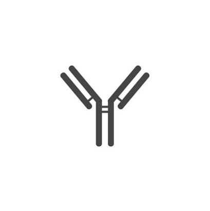 Aviva Systems Biology抗体