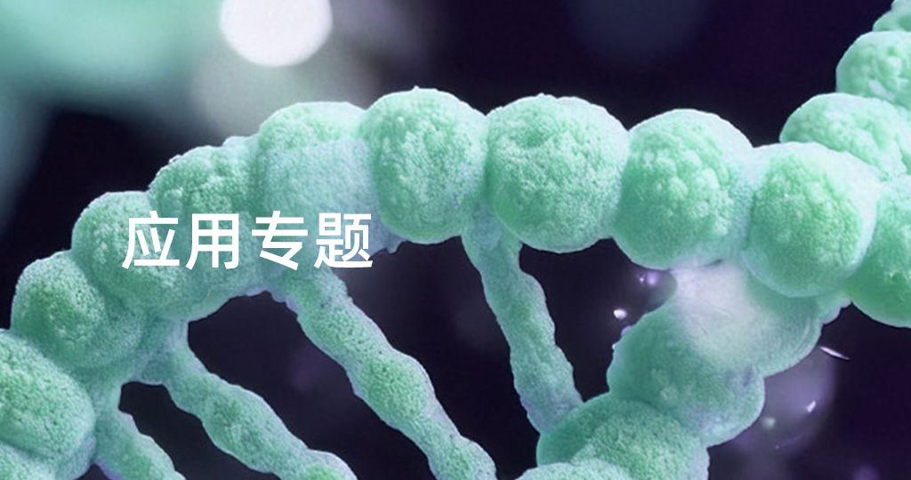 应用专题