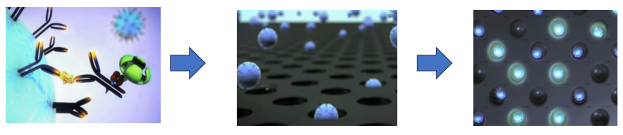 Simoa实验流程 Simoa实验流程